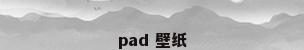 pad 壁纸