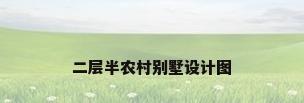 二层半农村别墅设计图