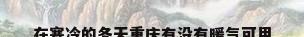 在寒冷的冬天重庆有没有暖气可用