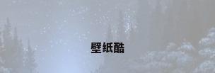 壁纸酷