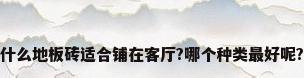 什么地板砖适合铺在客厅?哪个种类最好呢?