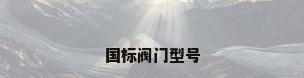 国标阀门型号
