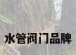 水管阀门品牌