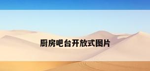 厨房吧台开放式图片