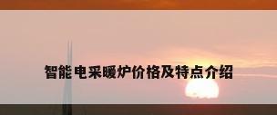 智能电采暖炉价格及特点介绍