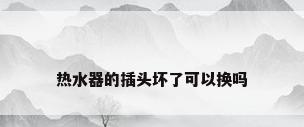 热水器的插头坏了可以换吗