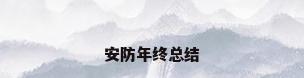 安防年终总结