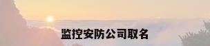 监控安防公司取名