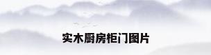 实木厨房柜门图片
