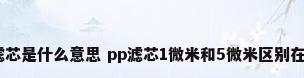 pp滤芯是什么意思 pp滤芯1微米和5微米区别在哪里