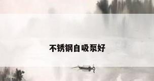 不锈钢自吸泵好