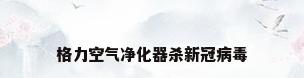 格力空气净化器杀新冠病毒