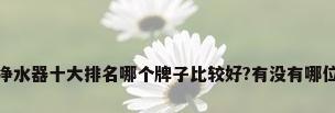水龙头净水器十大排名哪个牌子比较好?有没有哪位听说过