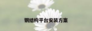 钢结构平台安装方案