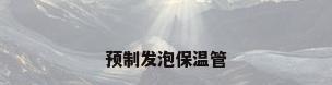 预制发泡保温管