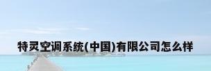 特灵空调系统(中国)有限公司怎么样