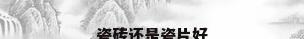 瓷砖还是瓷片好