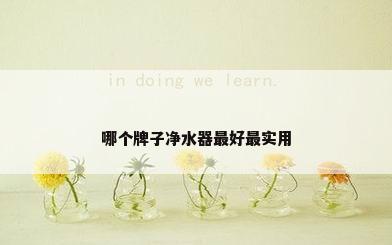 哪个牌子净水器最好最实用