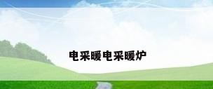电采暖电采暖炉