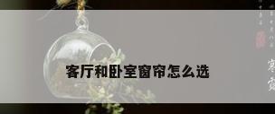 客厅和卧室窗帘怎么选
