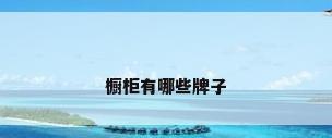 橱柜有哪些牌子