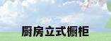 厨房立式橱柜