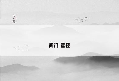 阀门 管径