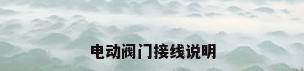 电动阀门接线说明