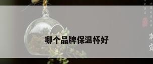 哪个品牌保温杯好