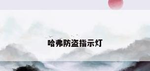 哈弗防盗指示灯