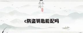 c防盗钥匙能配吗