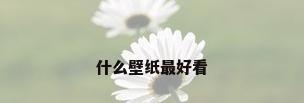 什么壁纸最好看