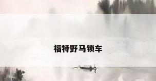 福特野马锁车