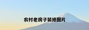 农村老房子装修图片