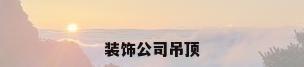 装饰公司吊顶