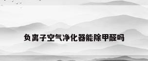 负离子空气净化器能除甲醛吗