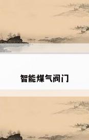 智能煤气阀门