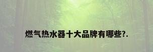 燃气热水器十大品牌有哪些?.