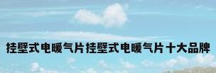 挂壁式电暖气片挂壁式电暖气片十大品牌