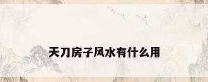 天刀房子风水有什么用