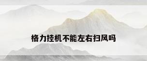 格力挂机不能左右扫风吗