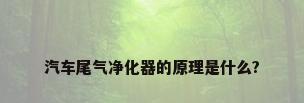 汽车尾气净化器的原理是什么?