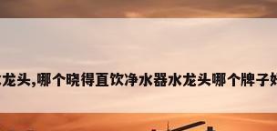 我最近想要买水龙头,哪个晓得直饮净水器水龙头哪个牌子好?有参考价吗...