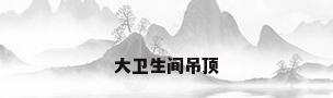 大卫生间吊顶