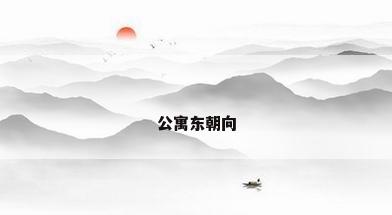 公寓东朝向