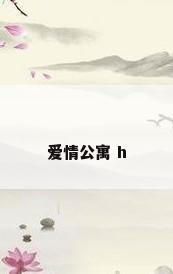爱情公寓 h