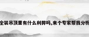 厨房装修热水器全装吊顶里有什么利弊吗,来个专家帮我分析一下啊?_百度...