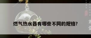 燃气热水器有哪些不同的规格?