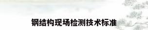 钢结构现场检测技术标准