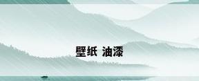 壁纸 油漆